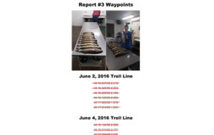 Report3Waypoints