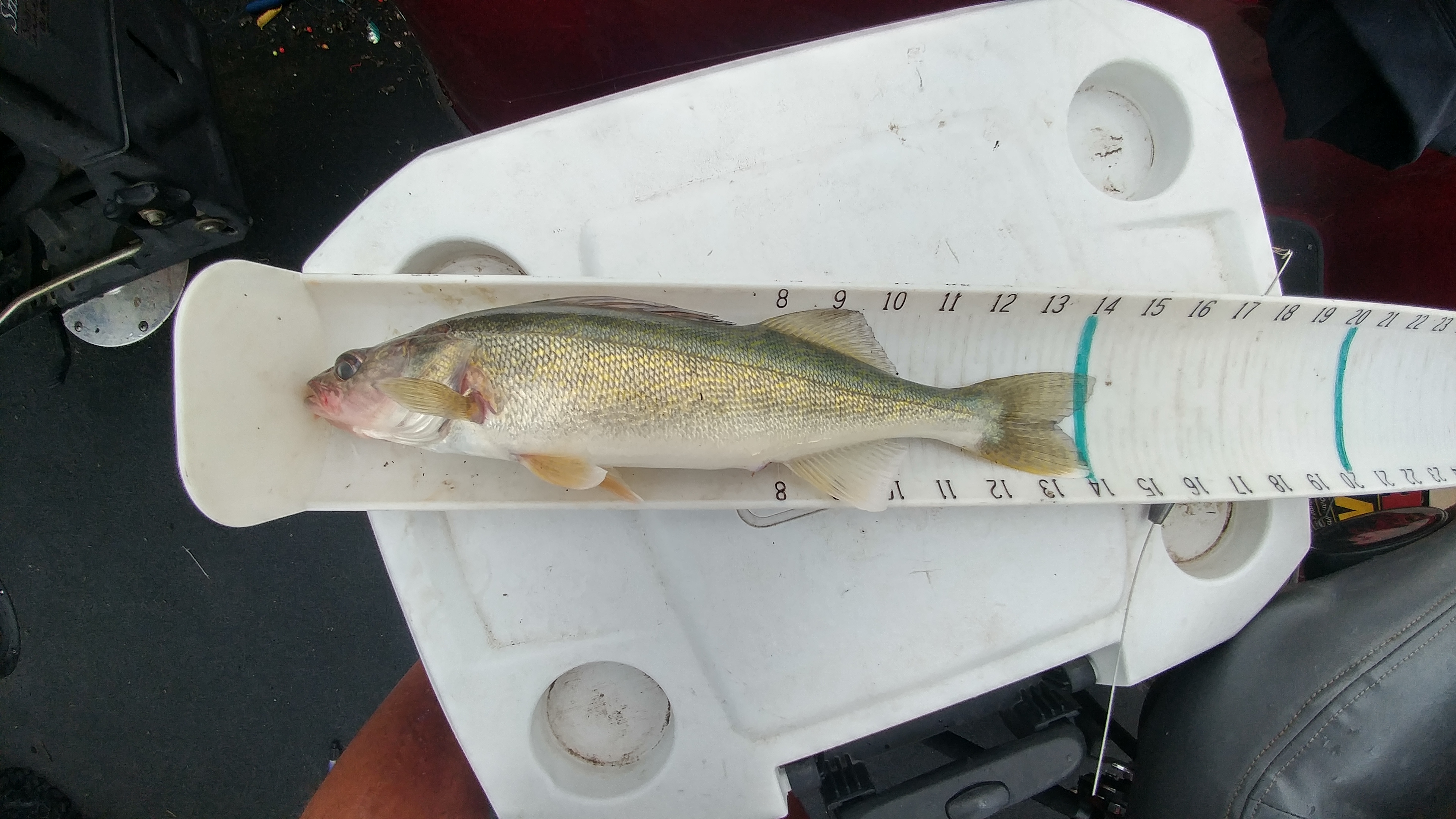 20170717_072827_HDR Devils Lake Fishing Report