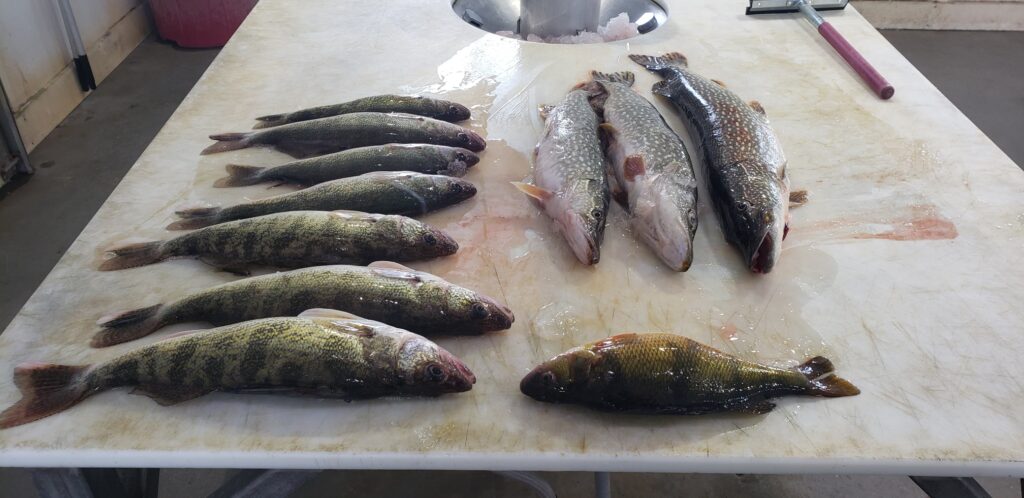 Weekly Fishing Report: February 28