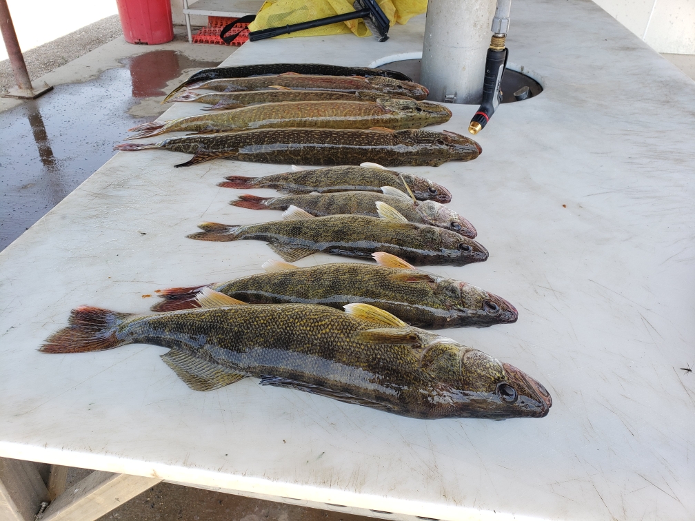 Monday Weekly Fishing Report June 5, 2023 Devils Lake Fishing Report