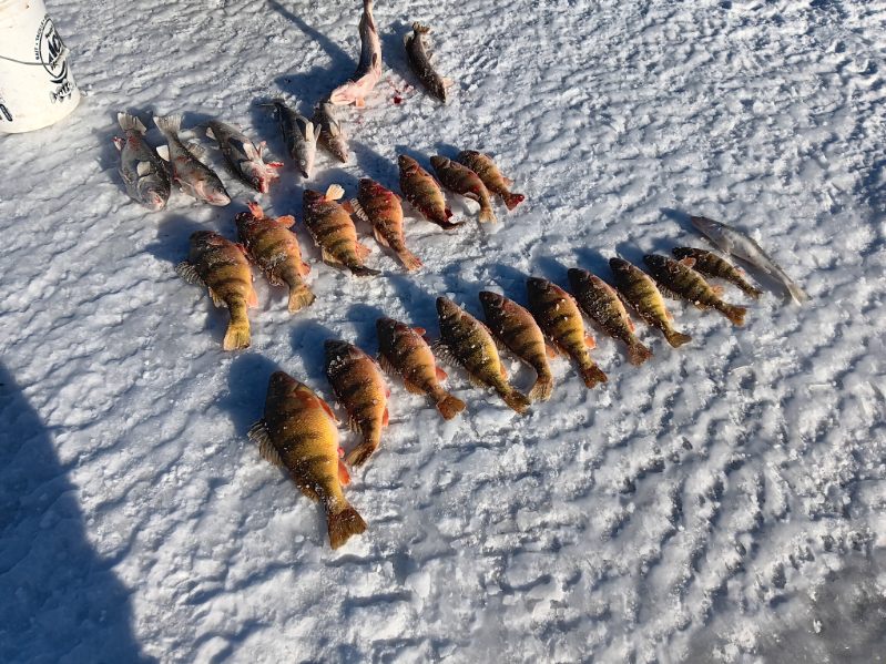 Ice Fishing Report-February 12th, 2023 - Mike Peluso Outdoors