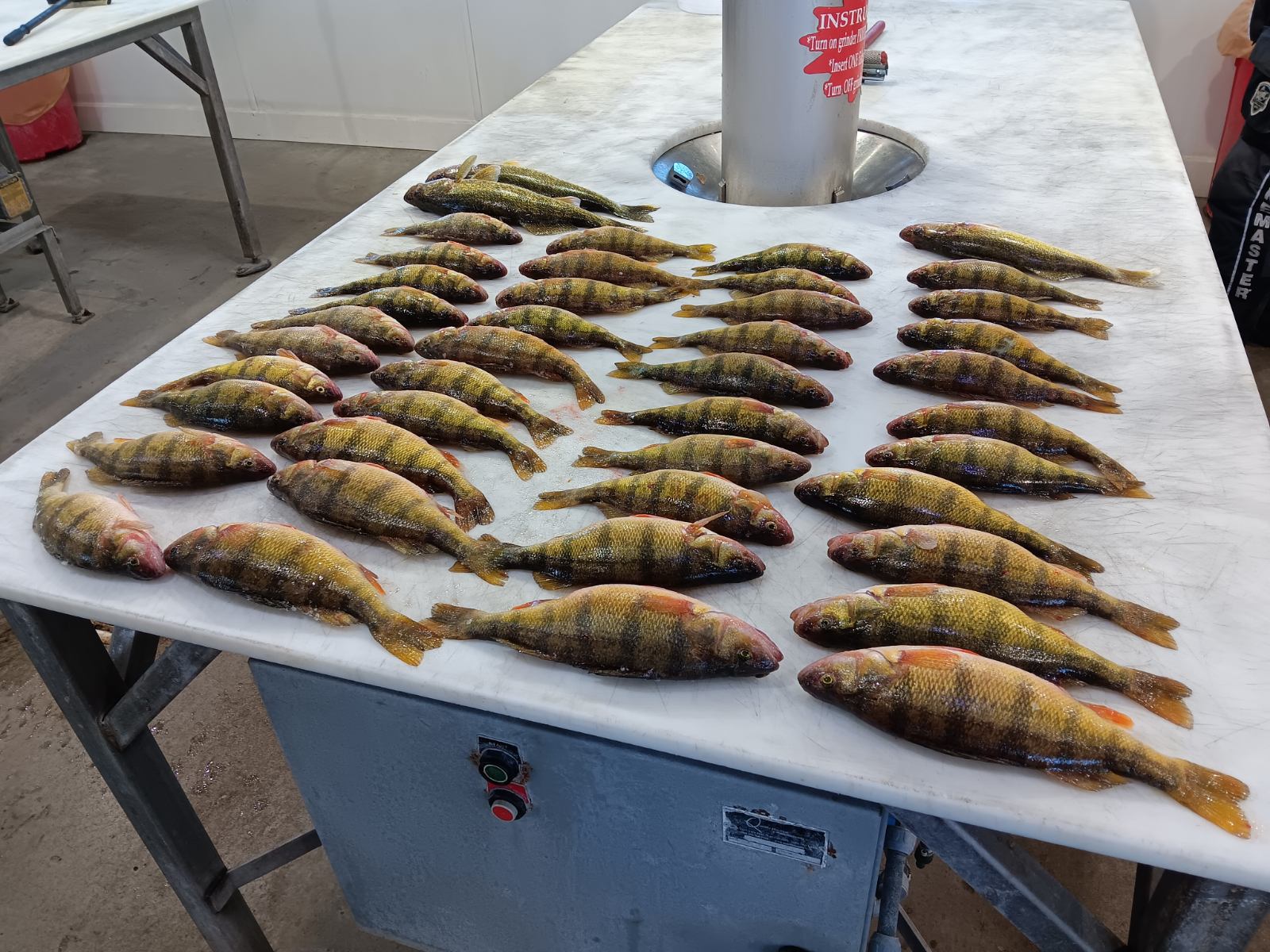 Check out North Dakota's 'Take Someone New Ice Fishing Challenge